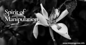 Spirit of Manipulation