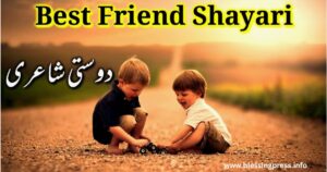 Best Friend Shayari in English